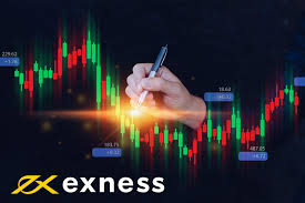 Detailed Analysis of Exness Financial Statements Detailed Analysis of Exness Financial Statements