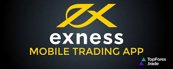 Exploring the Benefits of Trading with Exness Global