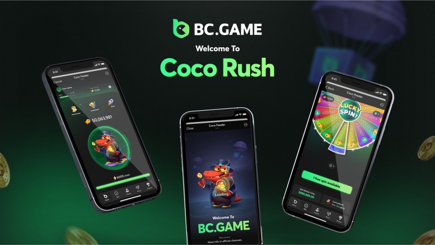 Understanding the BC Game Mirror Your Gateway to Endless Gaming Adventures