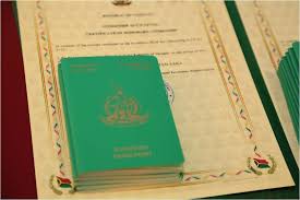 Understanding the Cost of Vanuatu Citizenship A Comprehensive Guide 898170393 Understanding the Cost of Vanuatu Citizenship A Comprehensive Guide 898170393