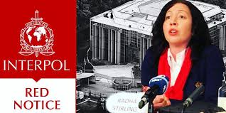 The Role of Interpol Lawyers in International Law Enforcement