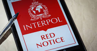 The Role of Interpol Lawyers in International Law Enforcement