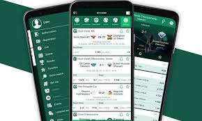 BetWinner Deposit and Withdrawal Methods A Comprehensive Guide